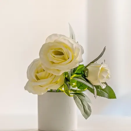 A 200m De La Playa טורבייחה