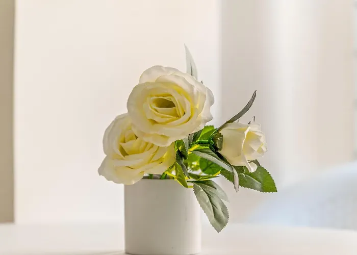 A 200m De La Playa تورّيفيِخا